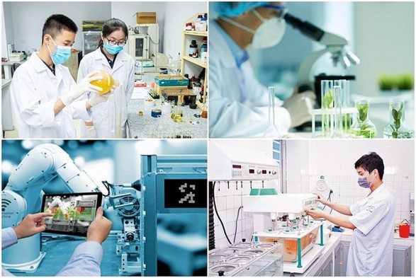 TUYÊN QUANG: PHÁT TRIỂN NGUỒN NHÂN LỰC KHOA HỌC VÀ CÔNG NGHỆ CHẤT LƯỢNG CAO, GẮN KẾT ĐÀO TẠO VỚI NGHIÊN CỨU VÀ NHU CẦU CỦA DOANH NGHIỆP