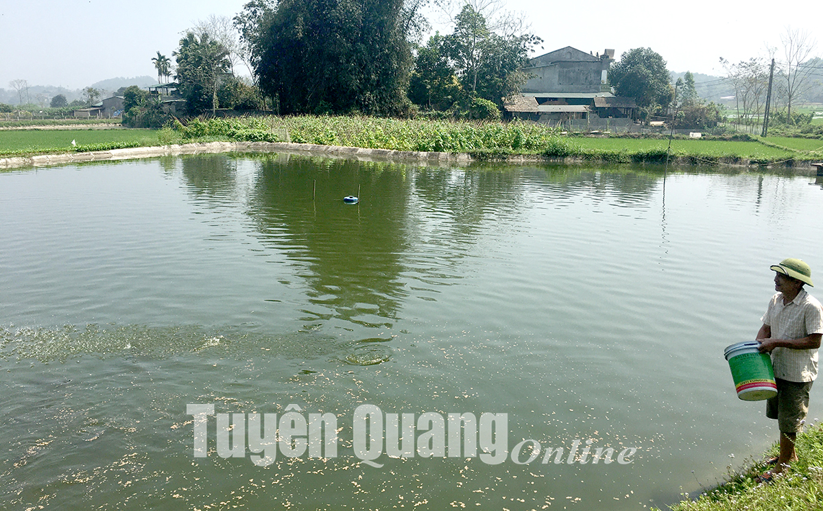 Ảnh tin