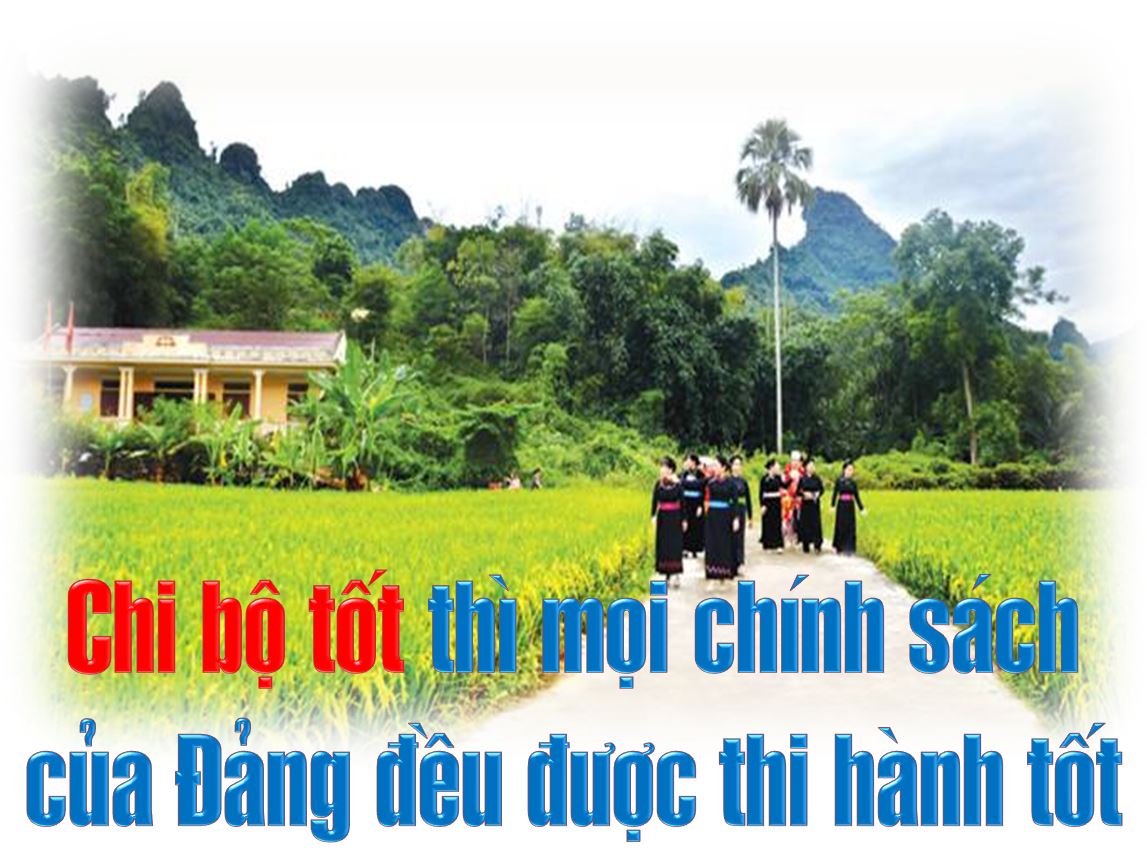 Ảnh tin
