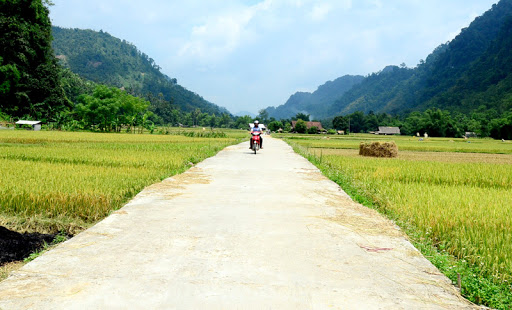 Ảnh tin