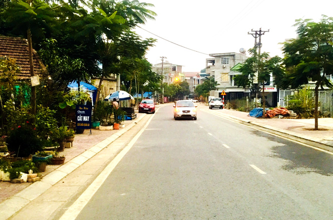 Ảnh tin