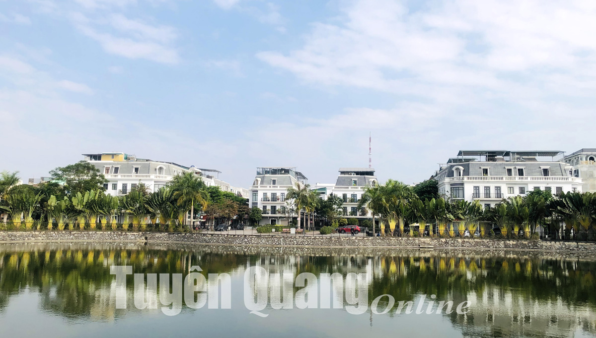 Ảnh tin