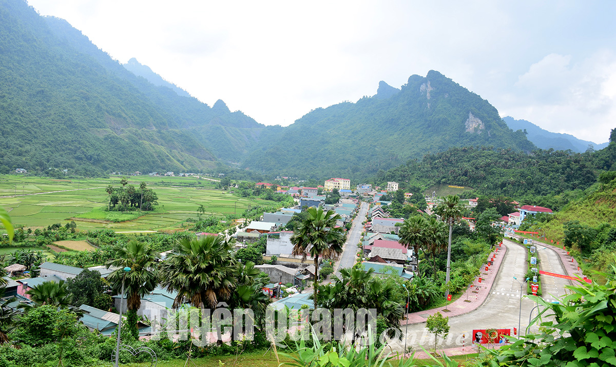Ảnh tin