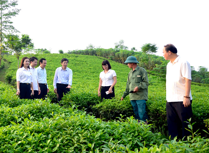 Ảnh tin