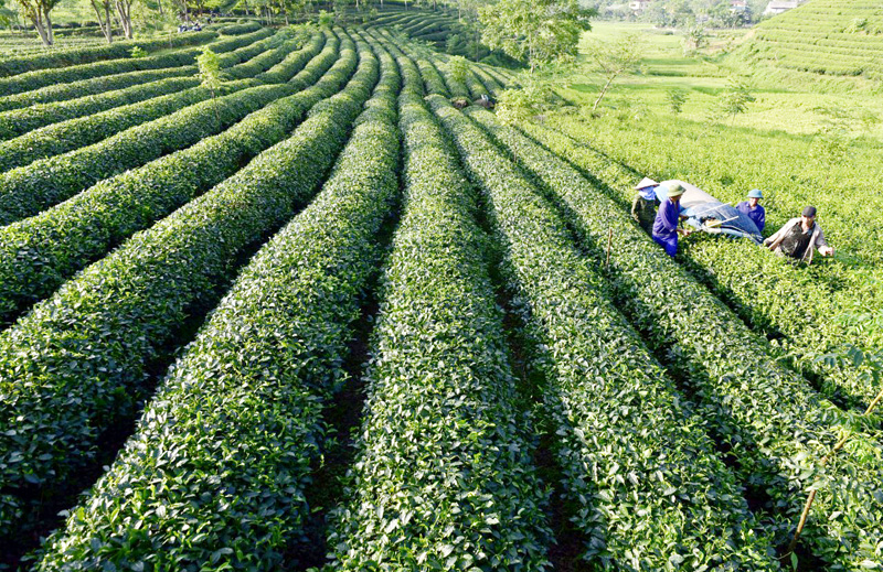 Ảnh tin