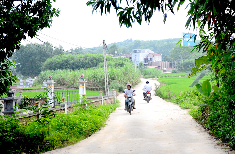 Ảnh tin