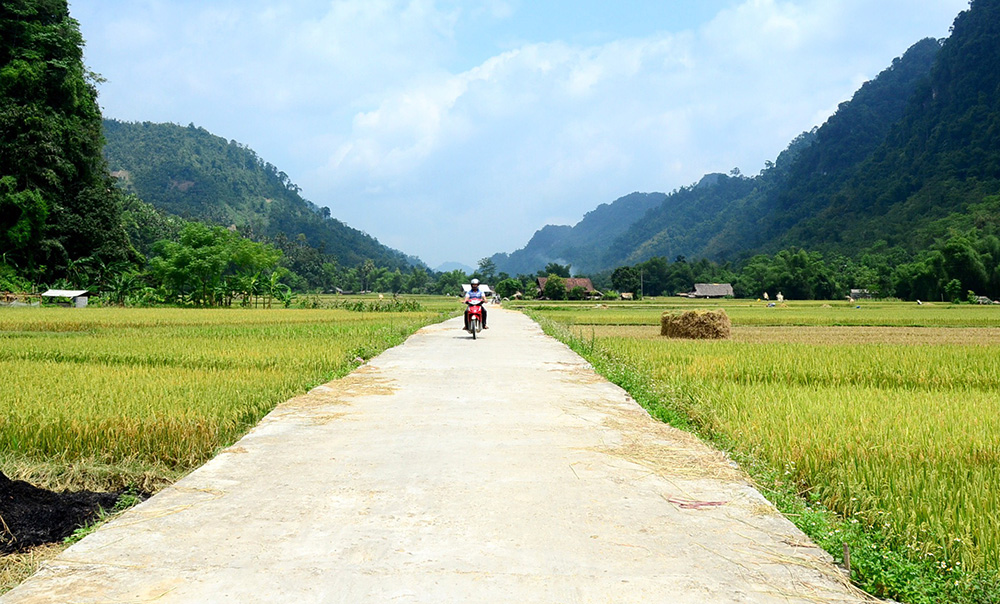 Ảnh tin