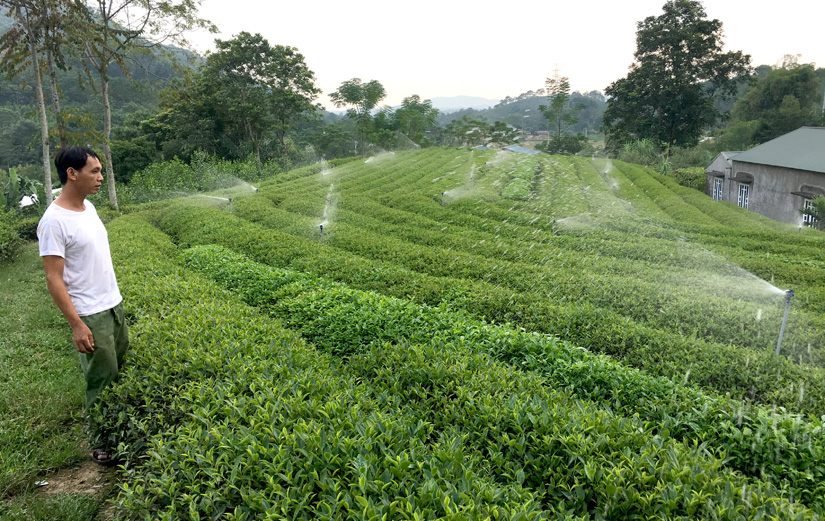 Ảnh tin