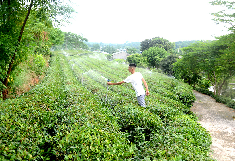 Ảnh tin