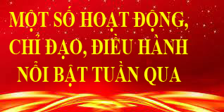 Ảnh tin
