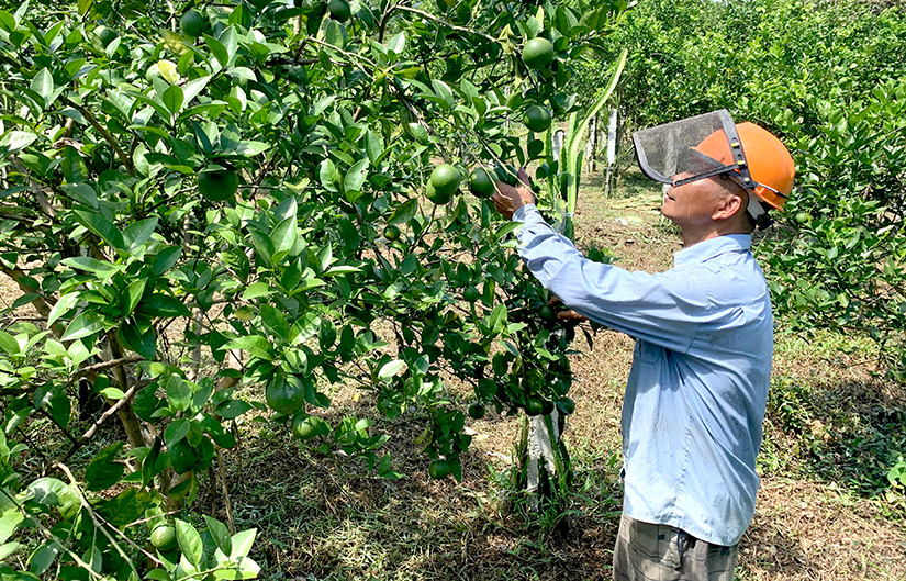 Ảnh tin