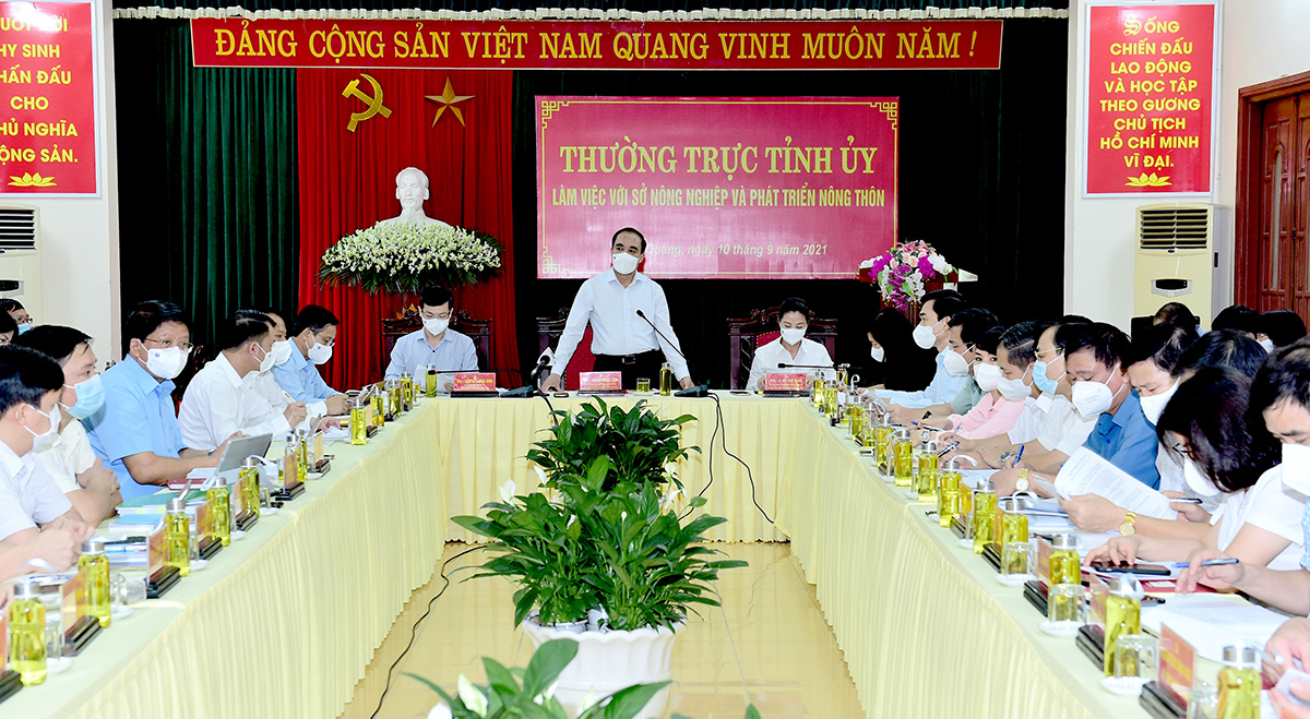 Ảnh tin