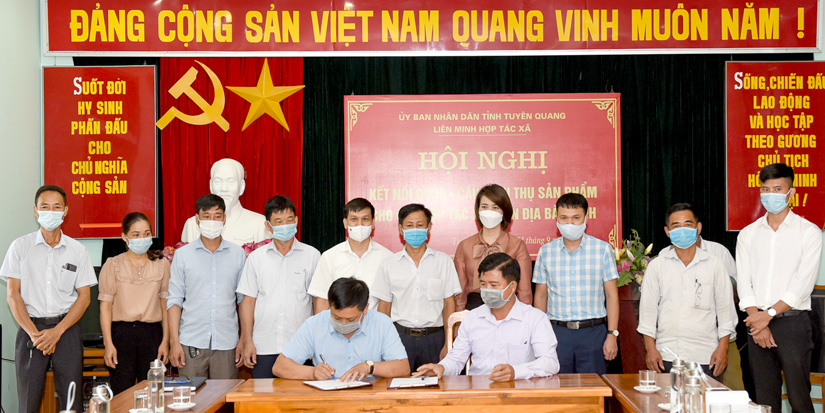 Ảnh tin