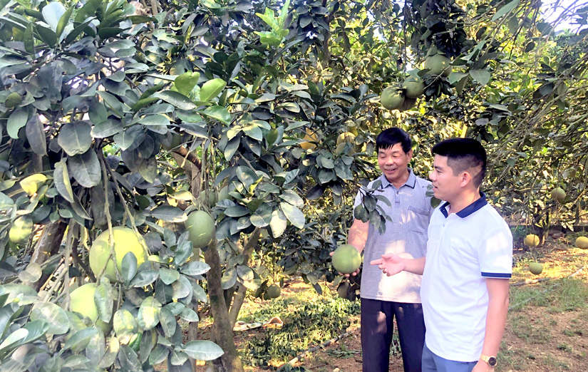 Ảnh tin