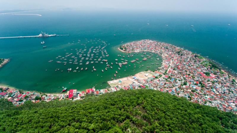 Ảnh tin