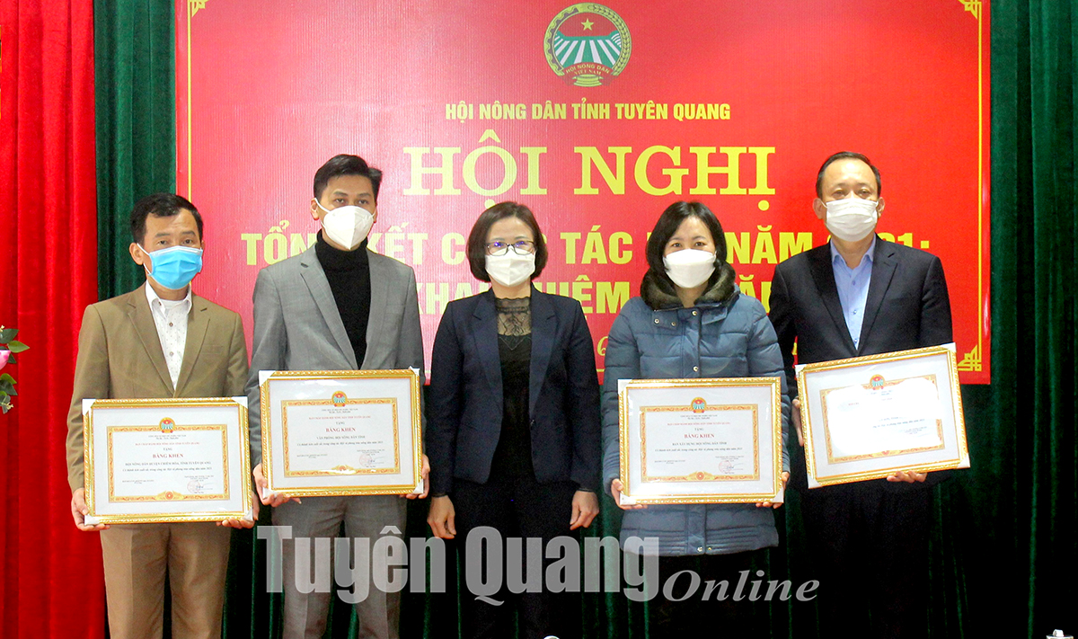 Ảnh tin