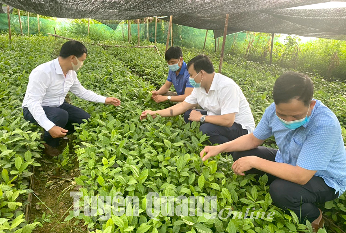 Ảnh tin