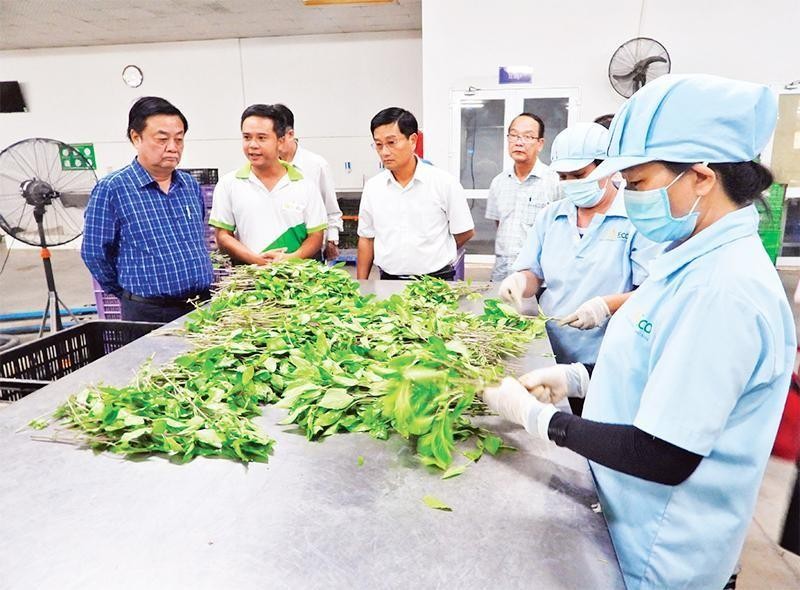 Chỉ thị của Ban Bí thư về tăng cường bảo đảm an ninh, an toàn thực phẩm  trong tình hình mới