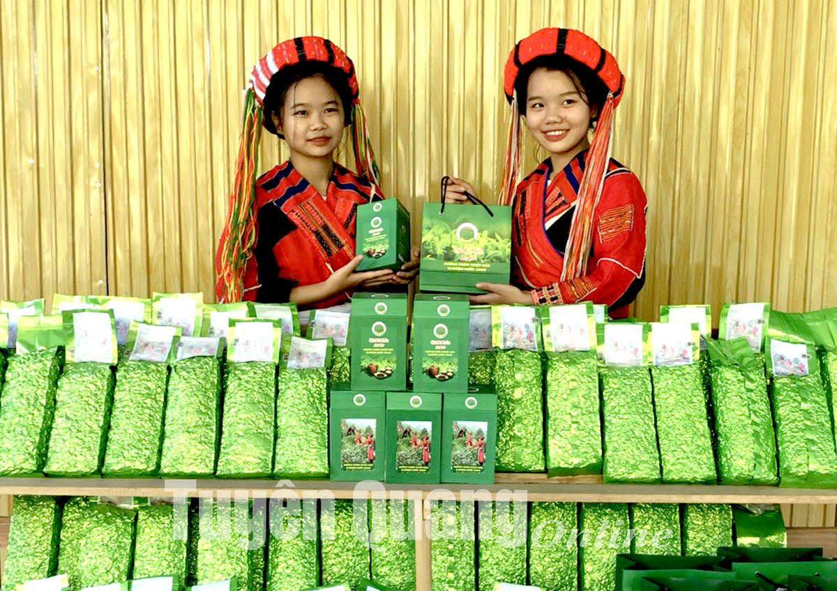 Ảnh tin