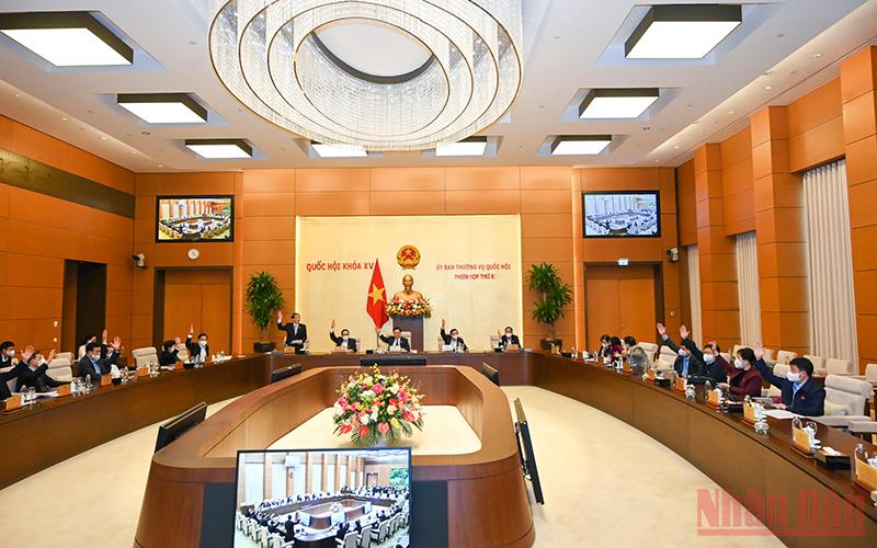 Ảnh tin