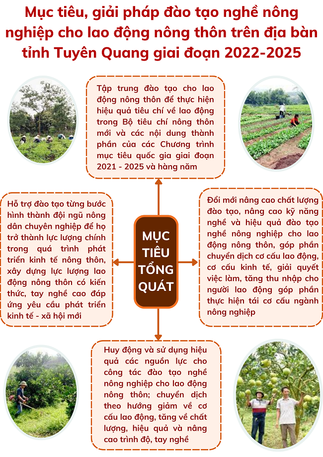 Ảnh tin