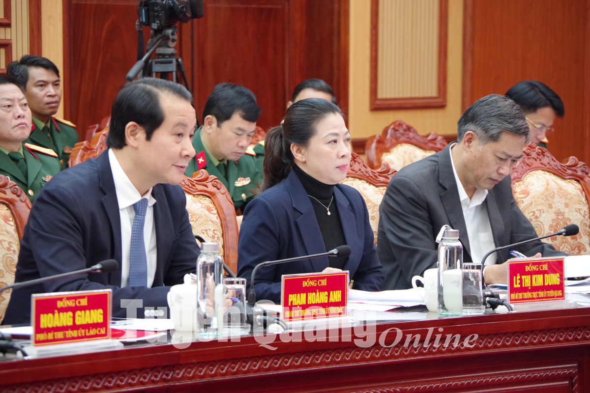 Đồng chí Lê Thị Kim Dung, Phó Bí thư Thường trực Tỉnh ủy, Chủ tịch HĐND tỉnh dự Hội nghị tổng kết 10 năm thực hiện Nghị quyết Trung ương 8 (khóa XI)