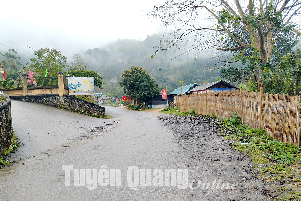 Ảnh tin