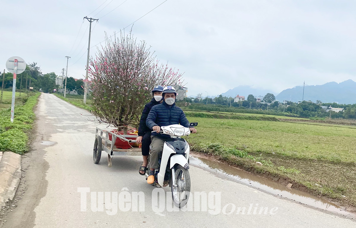 Ảnh tin