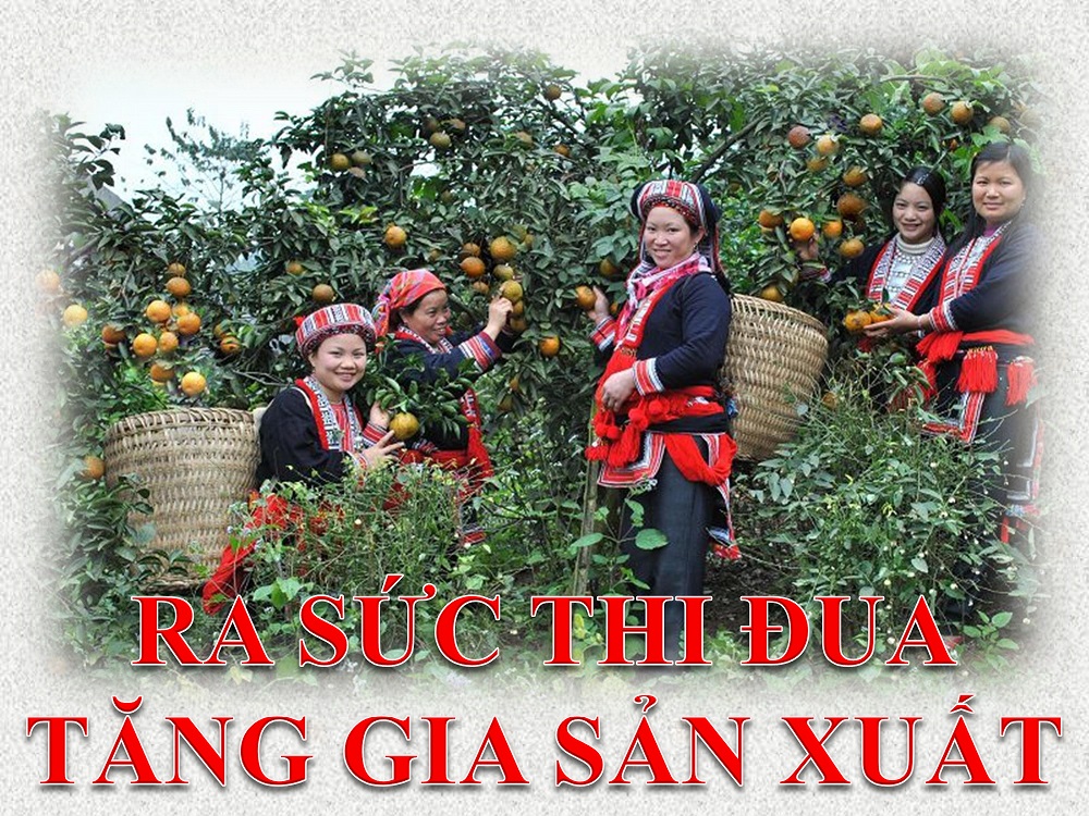 Ảnh tin