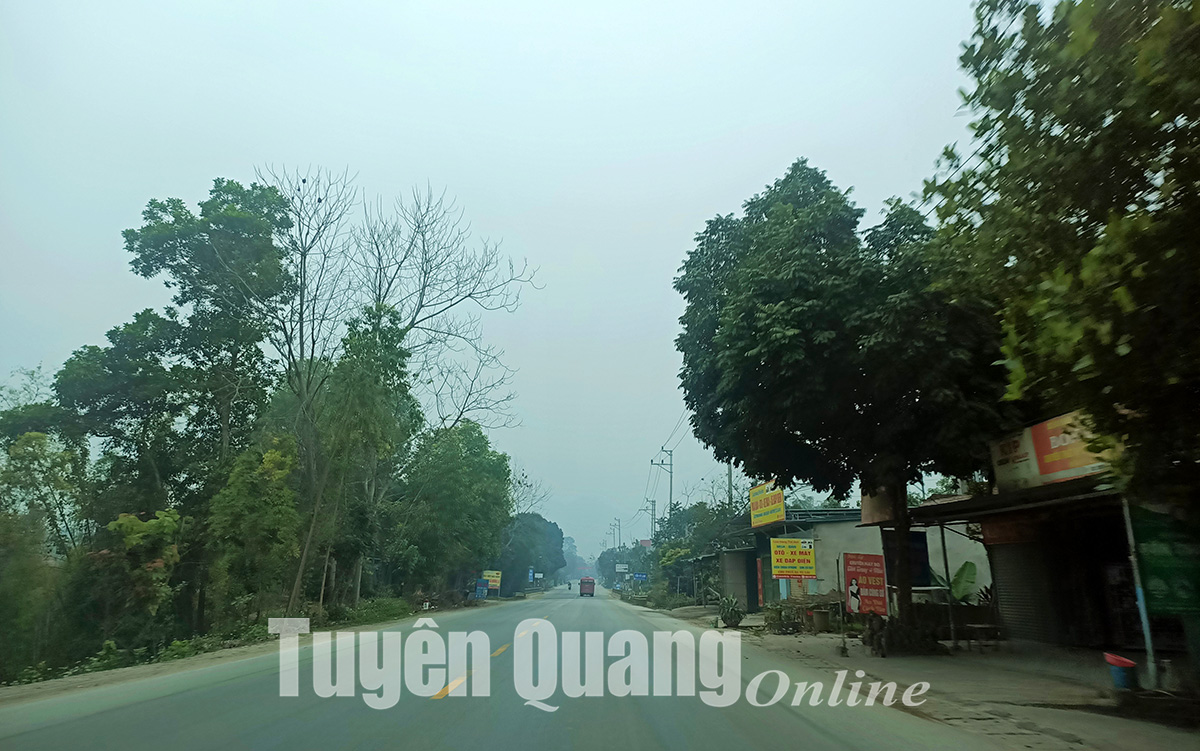 Ảnh tin