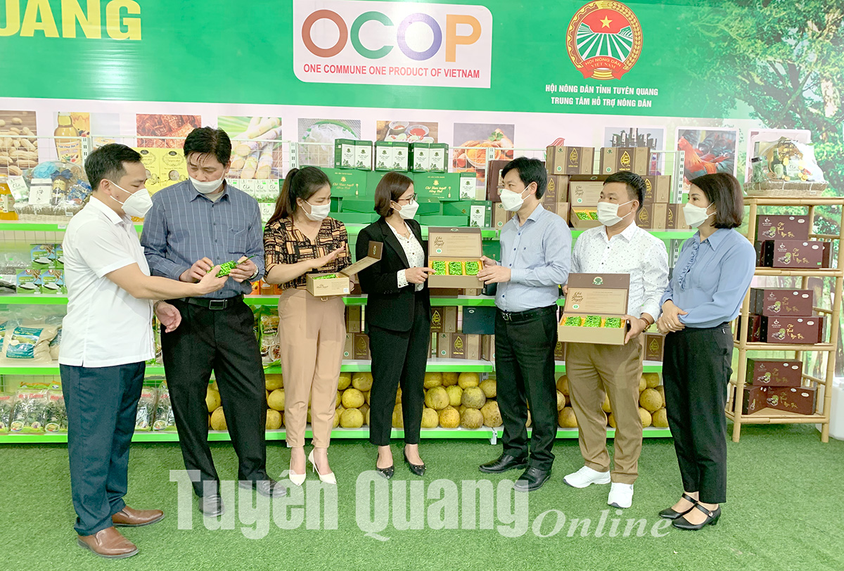 Ảnh tin
