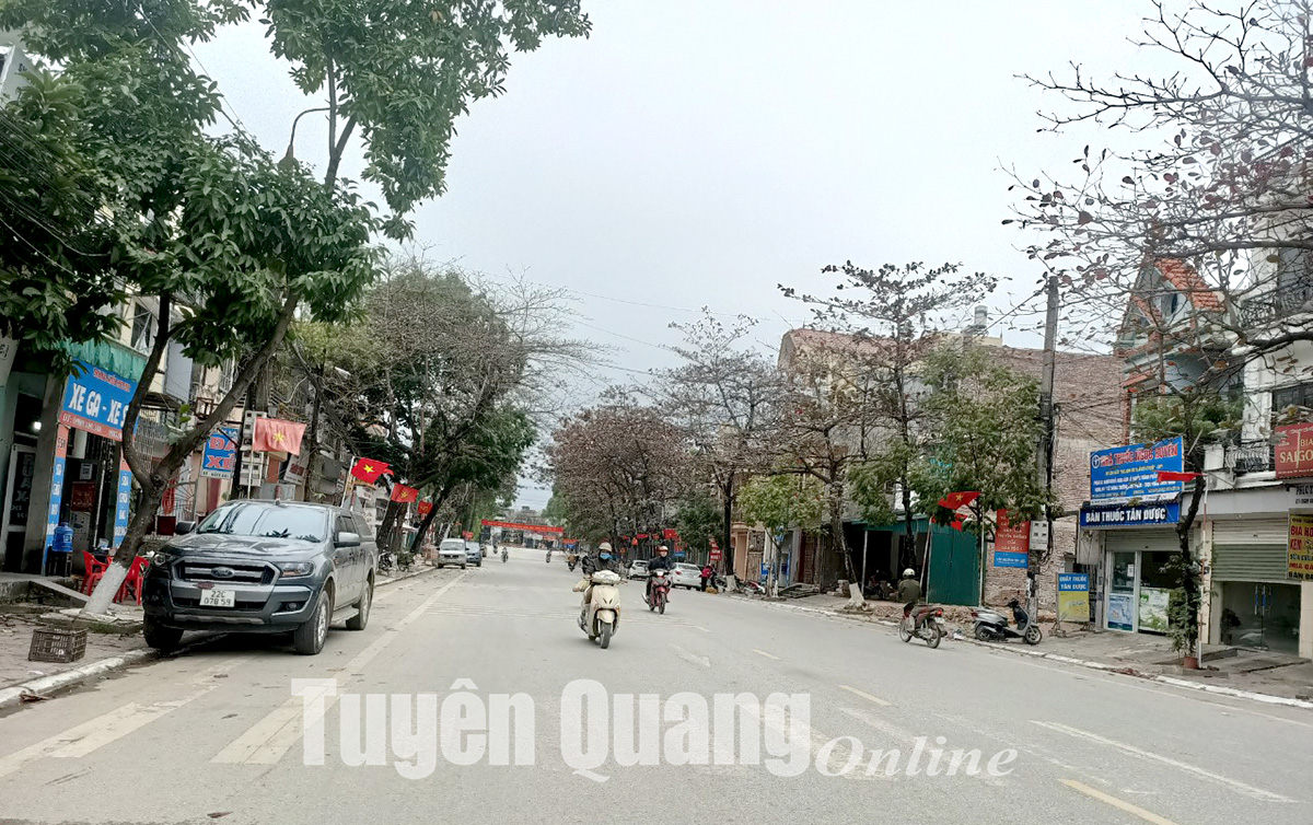 Ảnh tin