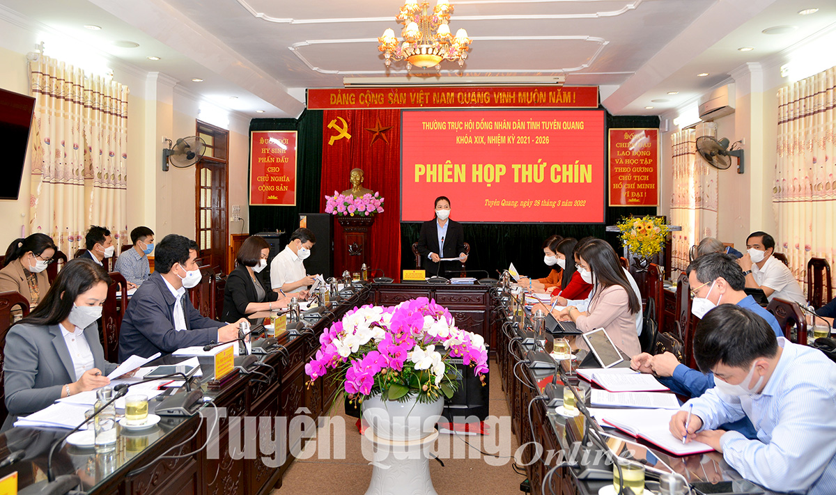 Ảnh tin