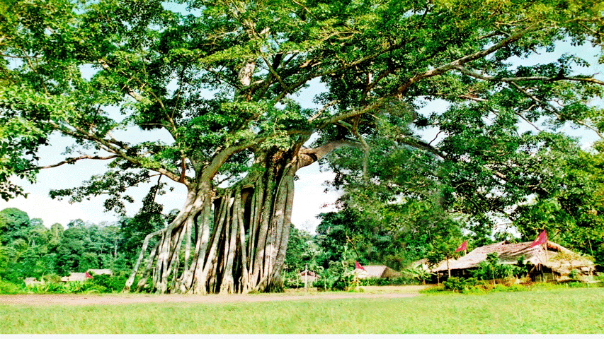 Ảnh tin