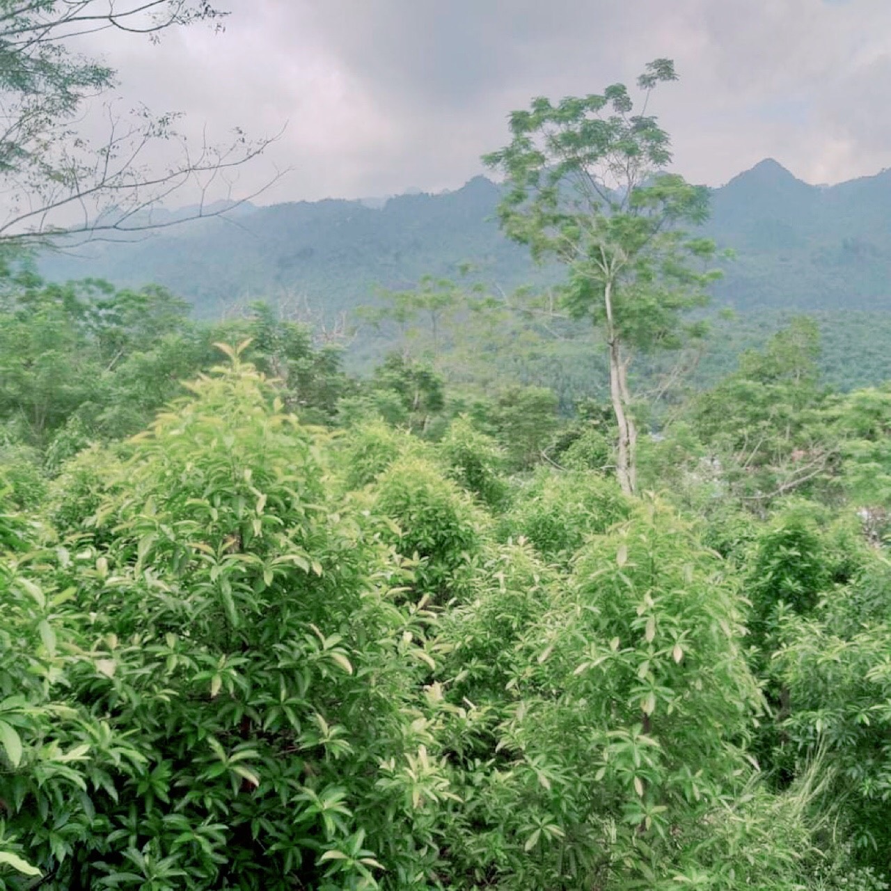 Ảnh tin