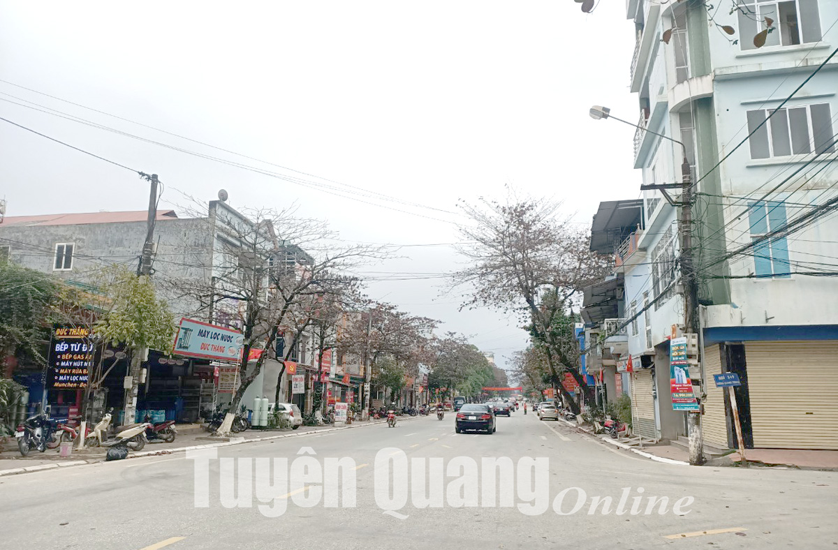 Ảnh tin