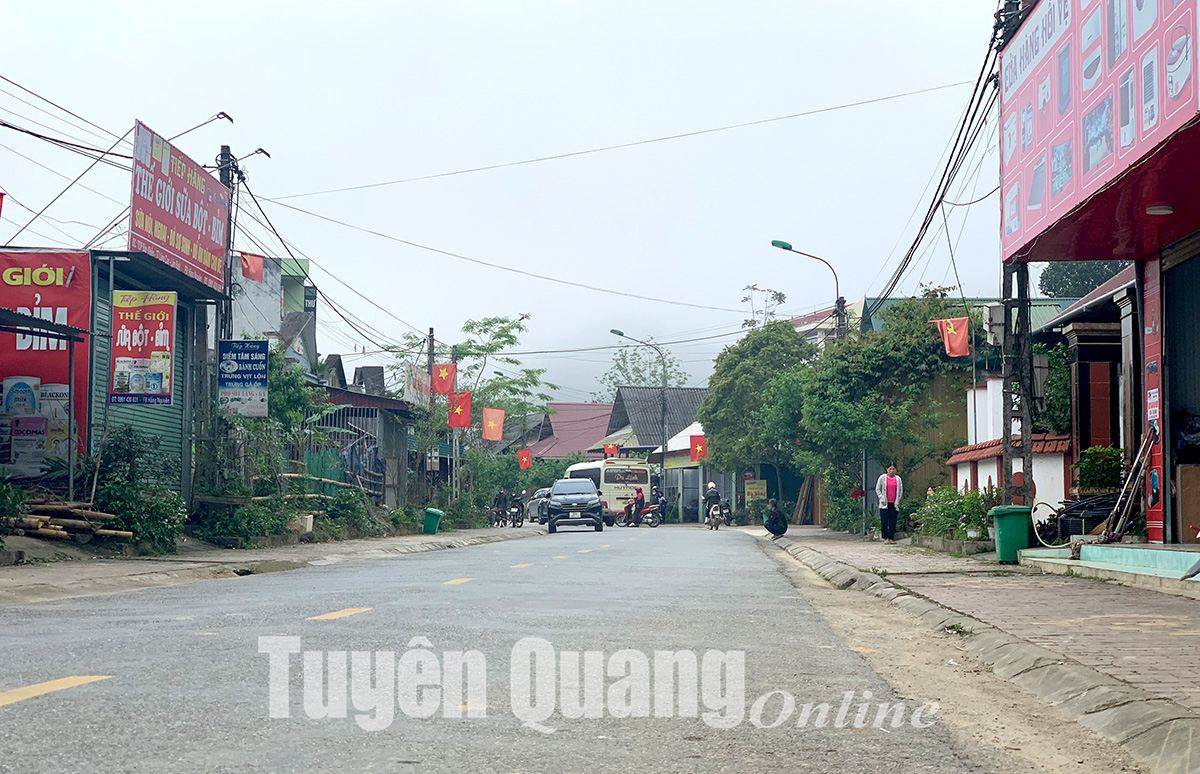 Ảnh tin