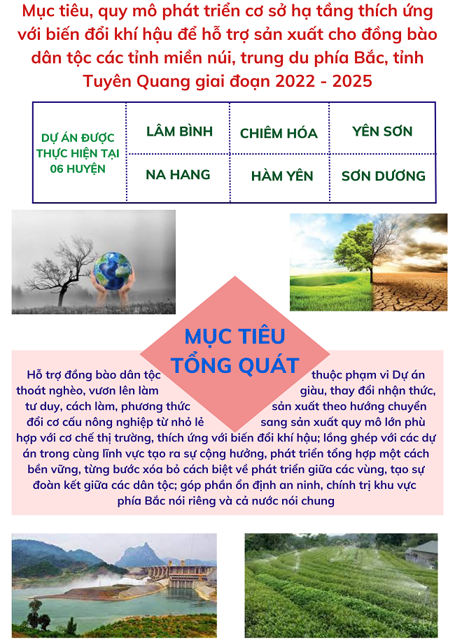 Ảnh tin