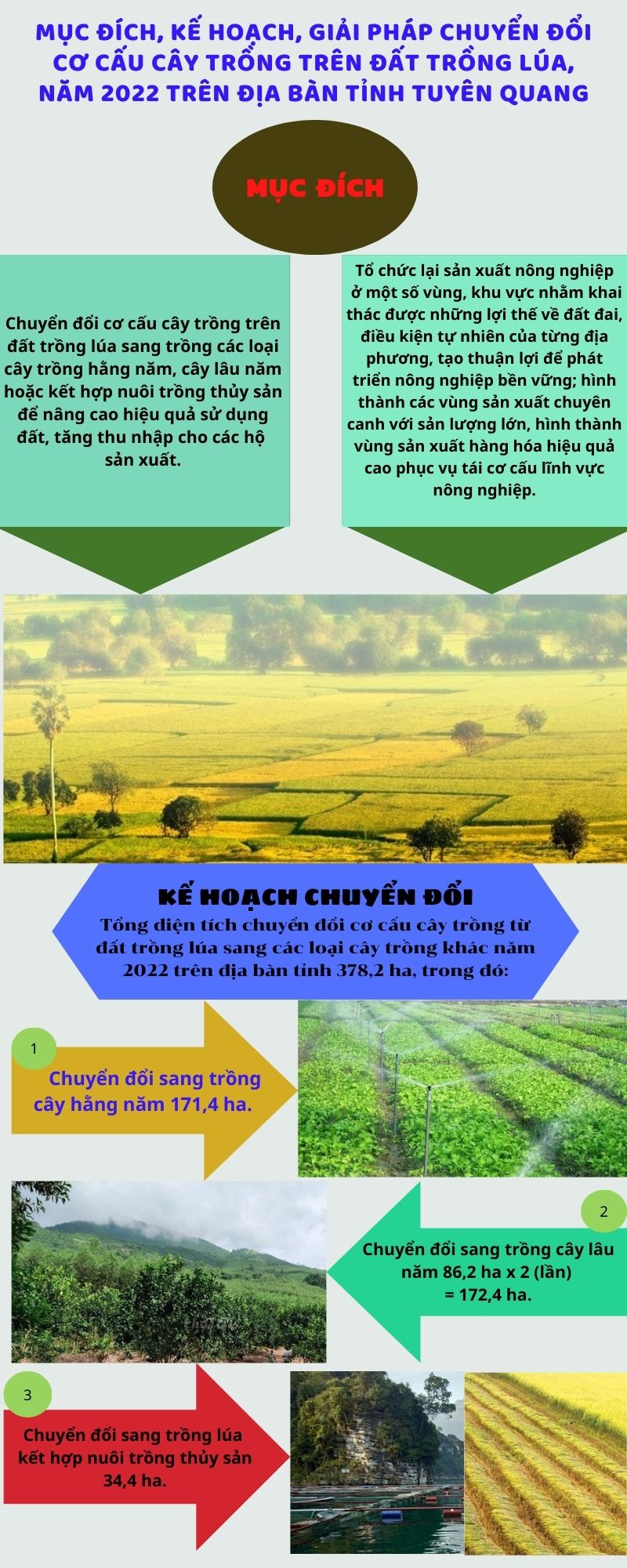Mục đích, kế hoạch, giải pháp Kế hoạch số 109/KH-UBND  về chuyển đổi cơ cấu cây trồng trên đất trồng lúa, năm 2022 trên địa bàn tỉnh Tuyên Quang