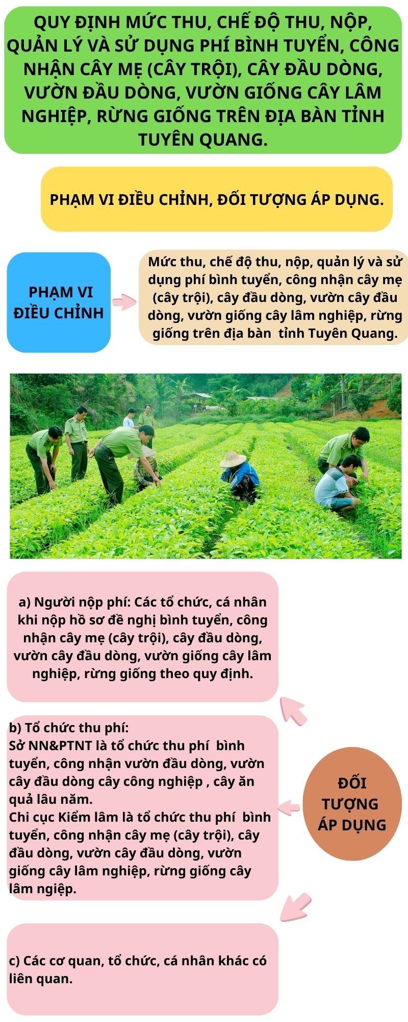 Ảnh tin