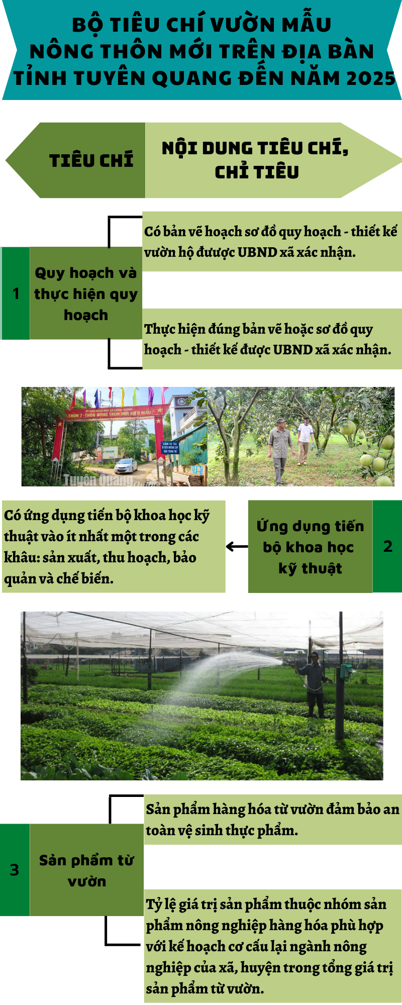 Ảnh tin