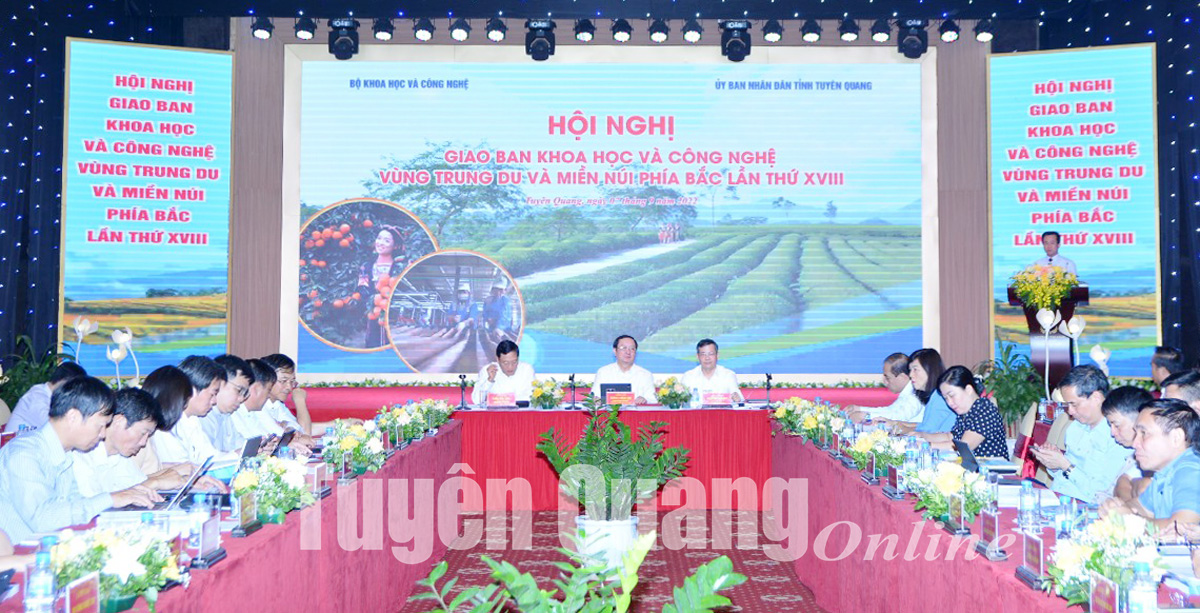 Ảnh tin