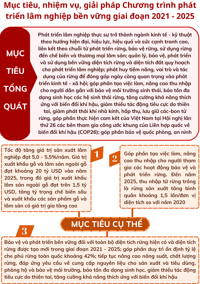 Ảnh tin