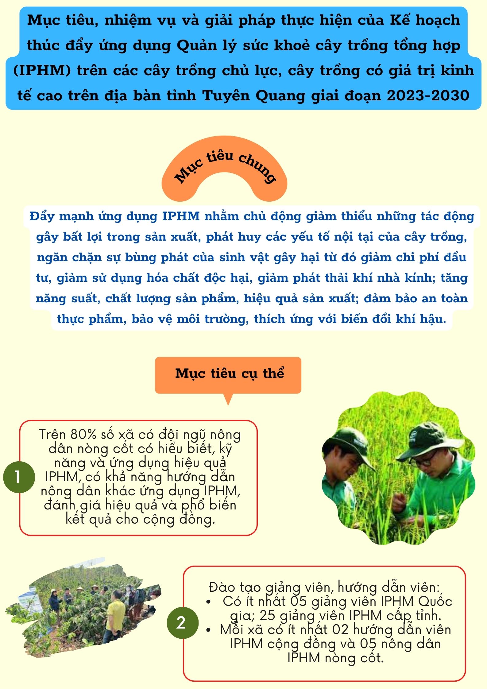 Ảnh tin