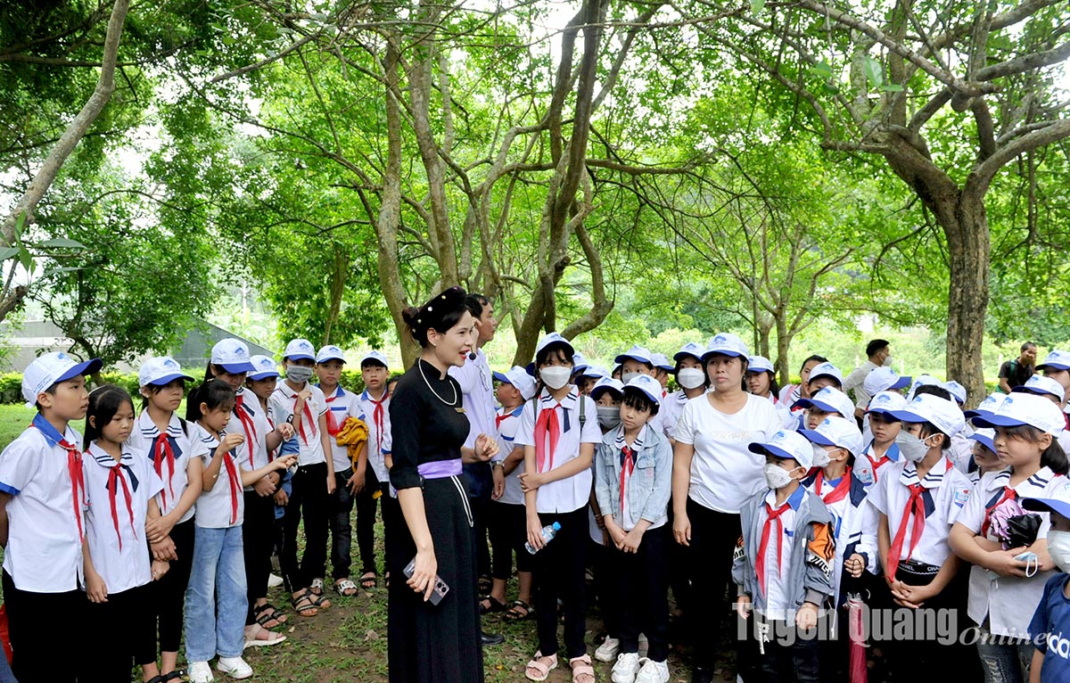 Ảnh tin