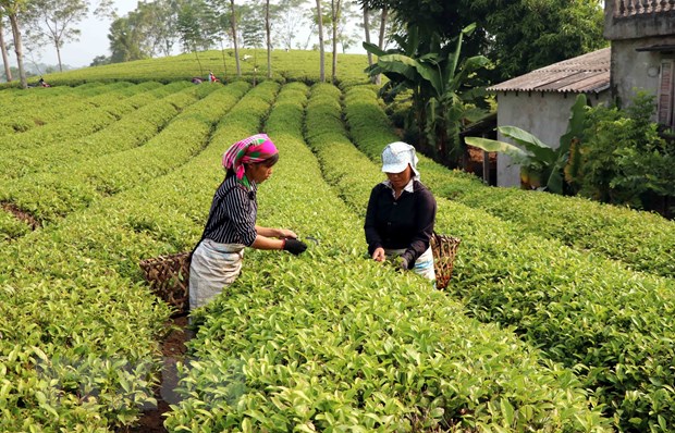 Ảnh tin