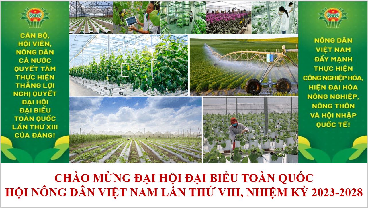 Ảnh tin