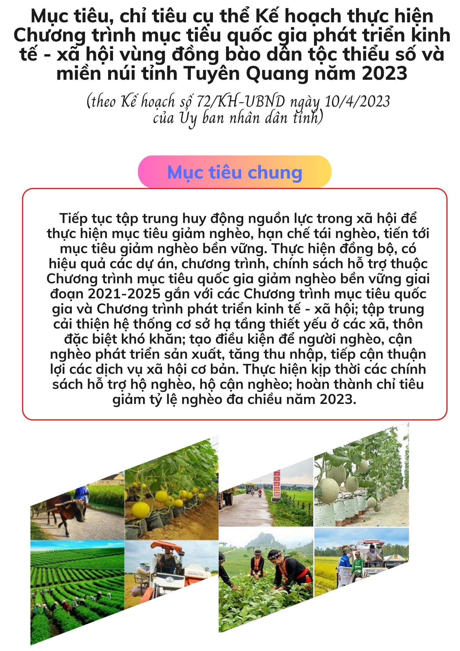 Ảnh tin