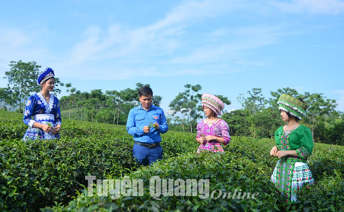 Ảnh tin
