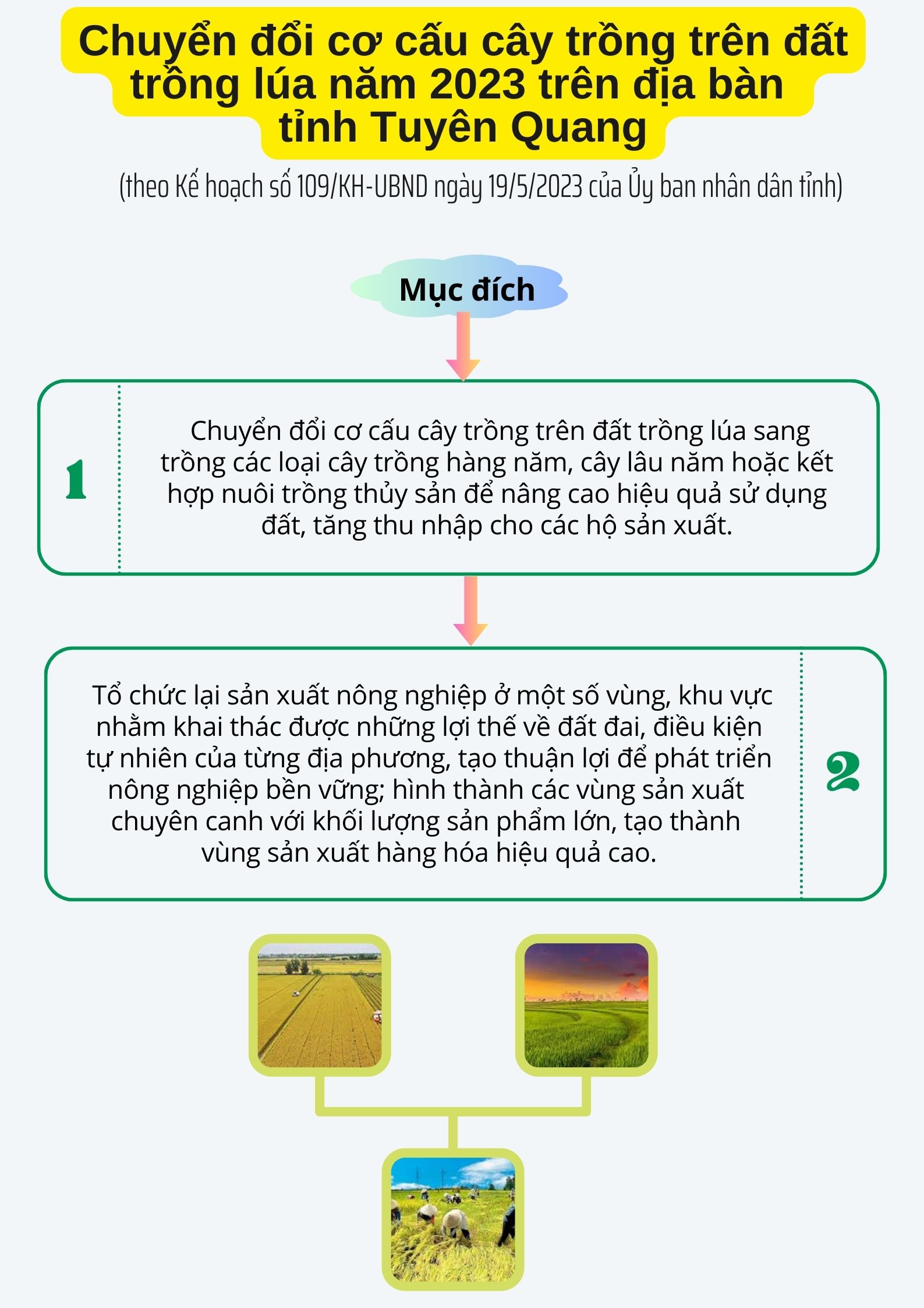 Ảnh tin